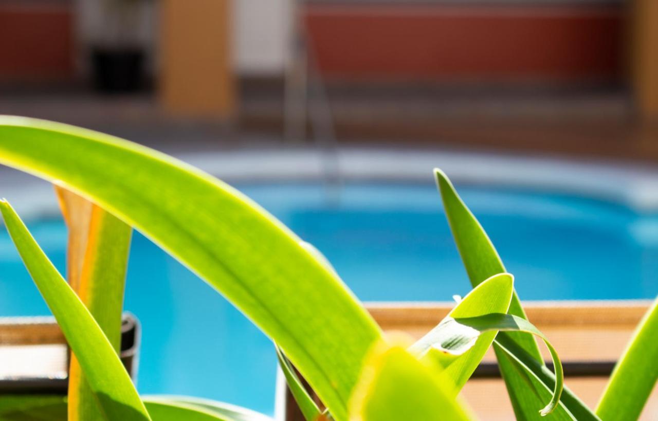 Del Mar Inn Playas 提华纳 外观 照片